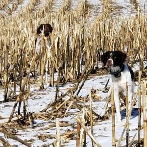 Meet your Posher, Earl